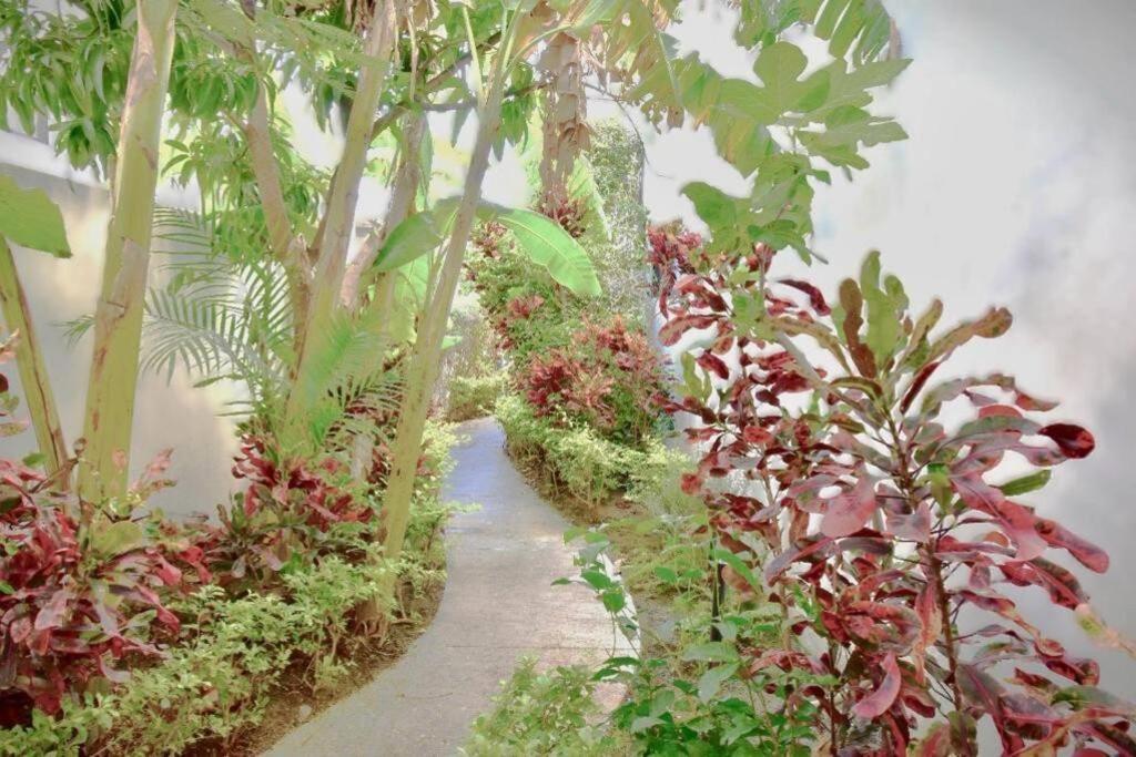 Casa de férias Casa Colibri Cumbres Jardin